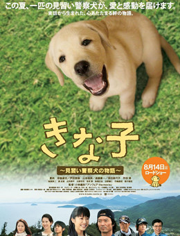 实习警犬物语分集剧情