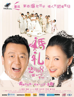 婚礼2008分集剧情