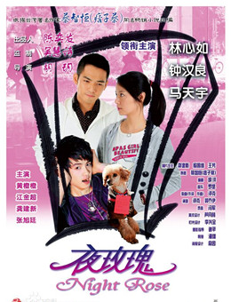 夜玫瑰分集剧情