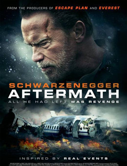 空难余波 空难余波