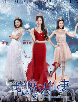 我的魔法仙妻分集剧情