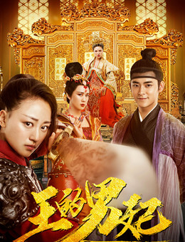 王的男妃分集剧情