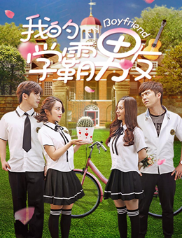 我的学霸男友分集剧情