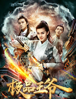 极品王爷分集剧情