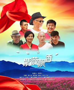 紫薇飘香分集剧情