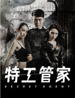 特工管家分集剧情