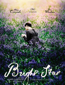 明亮的星分集剧情