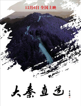 大秦直道分集剧情