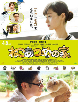 猫咪后院之家分集剧情