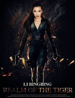 虎影侠分集剧情