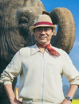 我的宠物是大象