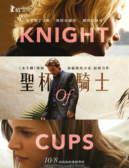 圣杯骑士分集剧情