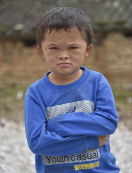 雾路奇途分集剧情