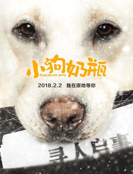 小狗奶瓶分集剧情