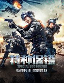 特种保镖分集剧情