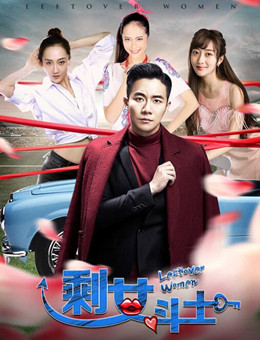 剩女斗士分集剧情