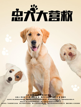 忠犬大营救分集剧情