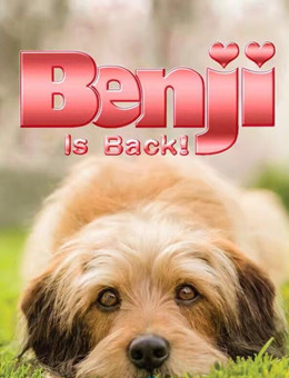 神探狗笨吉分集剧情