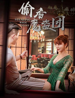 偷香魔盗团分集剧情