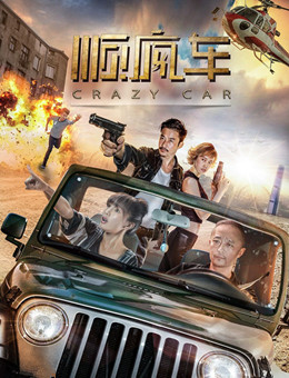 顺疯车分集剧情