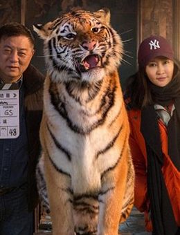 阳光不是劫匪 阳光不是劫匪