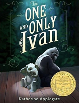 独一无二的伊万分集剧情