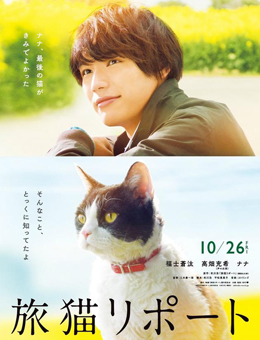 旅猫日记分集剧情