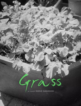 草叶集分集剧情