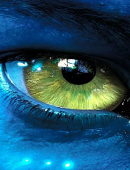 阿凡达4分集剧情