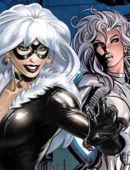 银貂与黑猫分集剧情