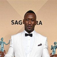 马赫莎拉哈什巴兹·阿里