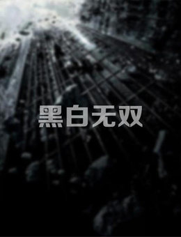 黑白无双分集剧情