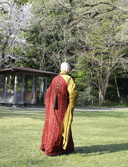 苏曼殊分集剧情