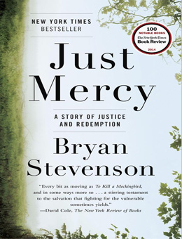 正义的慈悲分集剧情