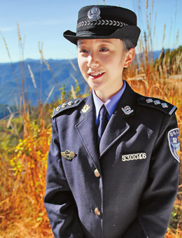 凤凰花开分集剧情