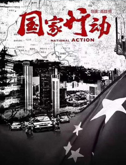国家行动