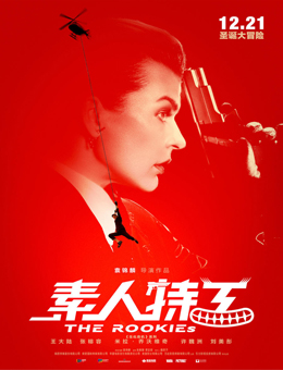 素人特工分集剧情