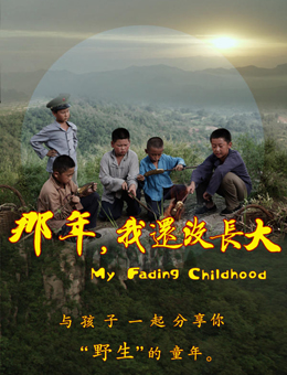 那年，我还没长大分集剧情