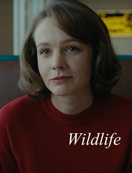 狂野生活分集剧情