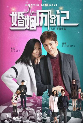 婚姻历险记分集剧情