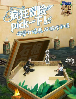 疯狂的麦咭第5季