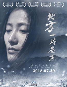 北方一片苍茫分集剧情