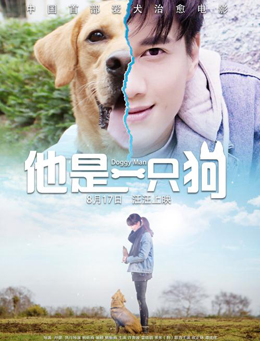 他是一只狗分集剧情