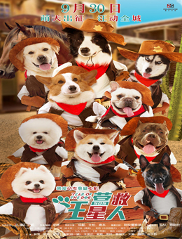 营救汪星人分集剧情