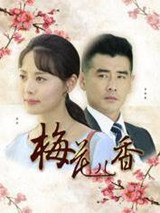 梅花儿香分集剧情