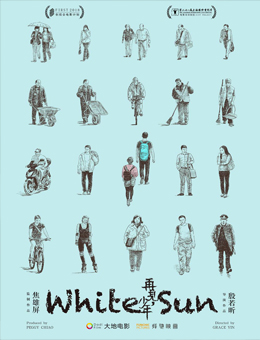 再见，少年分集剧情