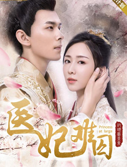 医妃难囚分集剧情