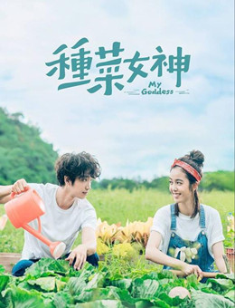 种菜女神分集剧情