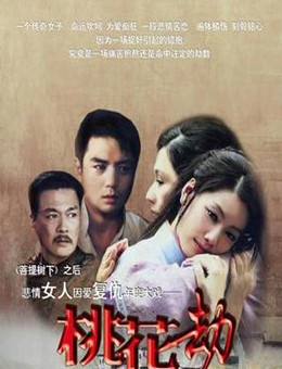 桃花劫分集剧情