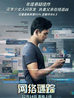 网络谜踪分集剧情